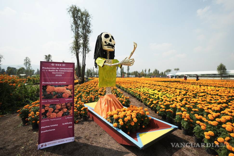 $!Una Catrina da la bienvenida a una plantación de cempasúchil, antes de las celebraciones del Día de Muertos, en San Luis Tlaxialtemalco.
