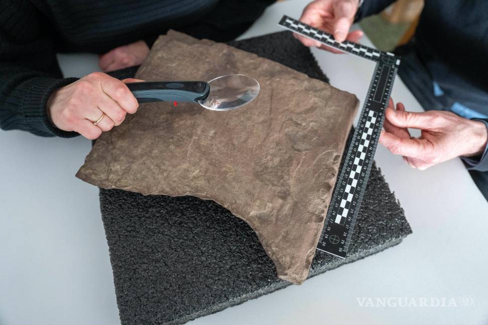 Encuentran en Noruega la estela rúnica más antigua del mundo