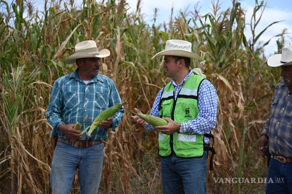 $!Los programas agrícolas implementados por el Ayuntamiento han permitido mejorar la calidad de vida de más de dos mil familias rurales.