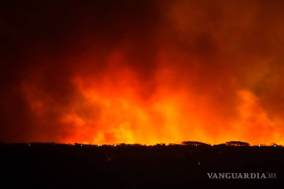 $!Incendio arrasa manglares en Campeche