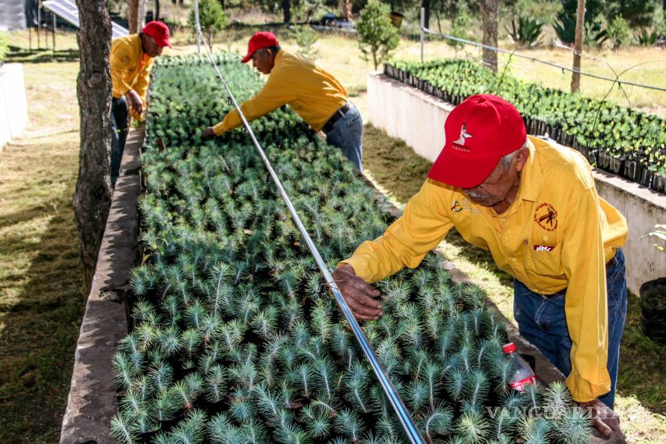 $!Sierra Zapalinamé: el 'pulmón de Saltillo' cumple 20 años como Área Natural Protegida