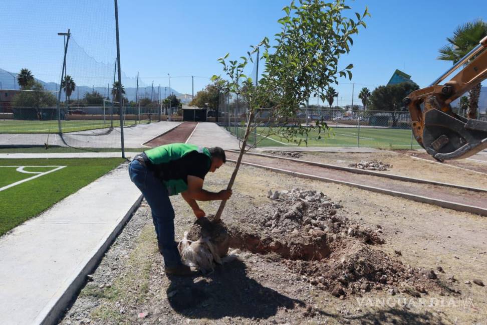 $!Trabajos recientes se realizaron en el parque Carlos R. González.