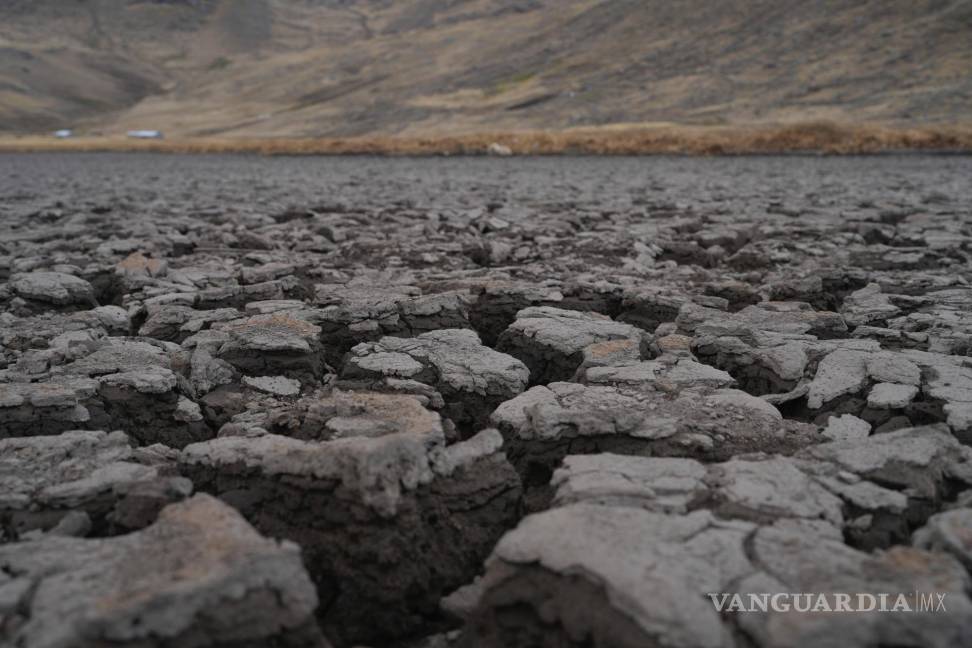 $!Una corteza seca en el lecho de la laguna de Cconchaccota en la región Apurimac de Perú.