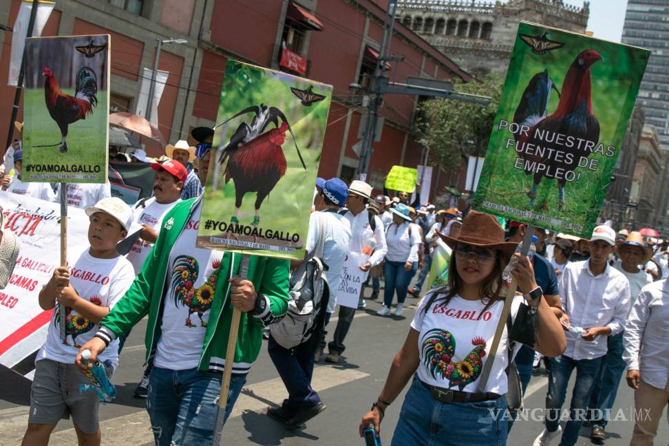 $!CIUDAD DE MÉXICO, 07 MAY2024.- Criaderos de gallos y toros de lidia marcharon del Monumento a la Revolución rumbo al zócalo para exigir que se impida la prohibición de las peleas de gallo o cría de toros de lidia, ya que señalan que son miles de personas que dependen de esta actividad económica, además de que son parte de las tradiciones nacionales.