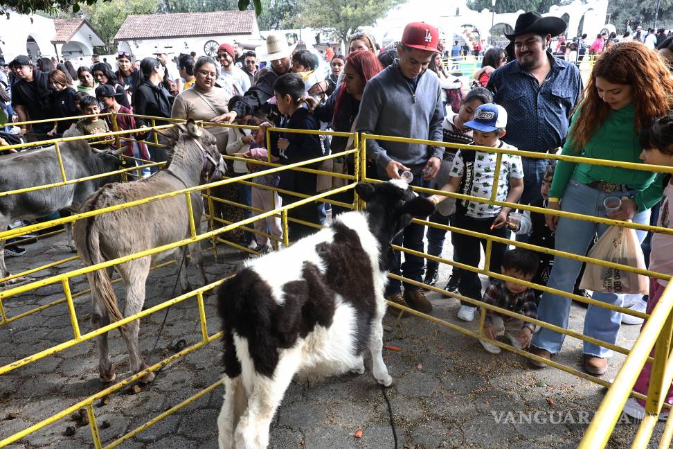 $!La granja interactiva fue uno de los espacios más visitados del festival.