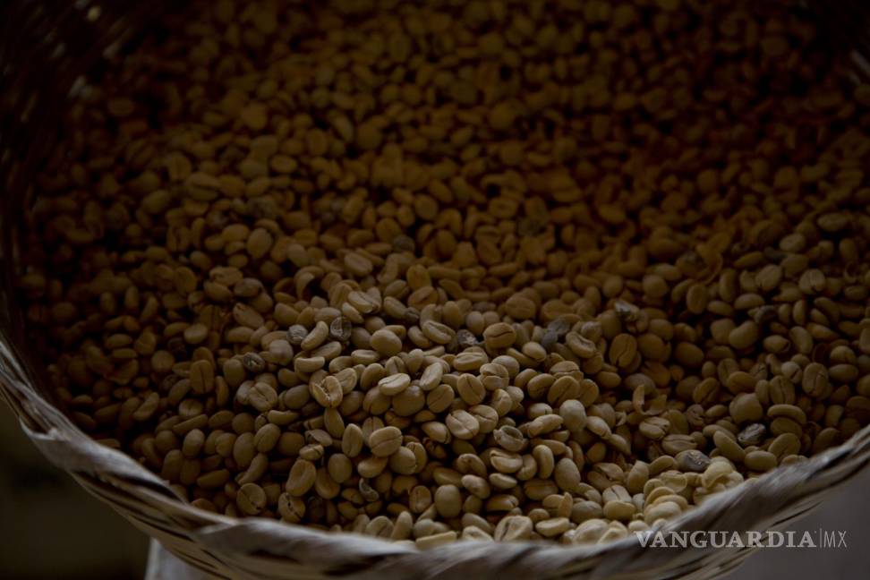 $!Los granos de café arábica cosechados el año anterior se almacenan en una plantación de café en Ciudad Vieja, Guatemala.