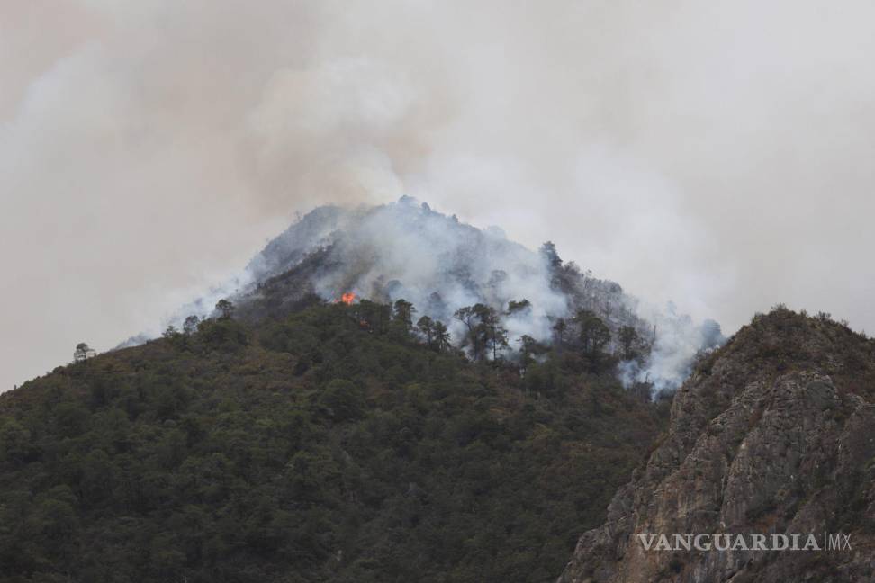 $!Saltillo, Coahuila 19 de mayo de 2022. Continúa el fuerte incendio en el cañón de San Lorenzo, en la Sierra de Zapaliname.