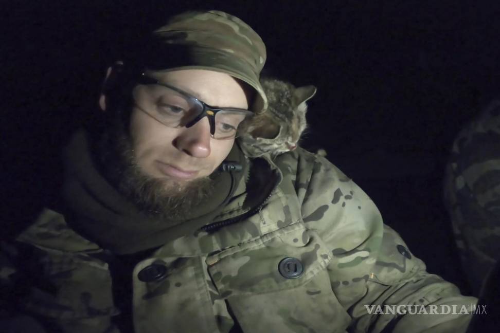 $!En esta imagen de un vídeo, un grupo de recolectores de cadáveres liderado por Oleksii Yukov, un gatito acaricia a Yukov en Dovhenke en noviembre de 2022.