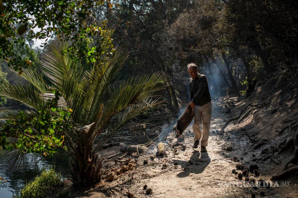 $!Alejandro Peirano, director del Jardín Botánico Nacional de Chile, camina por la propiedad en Viña del Mar, Chile.