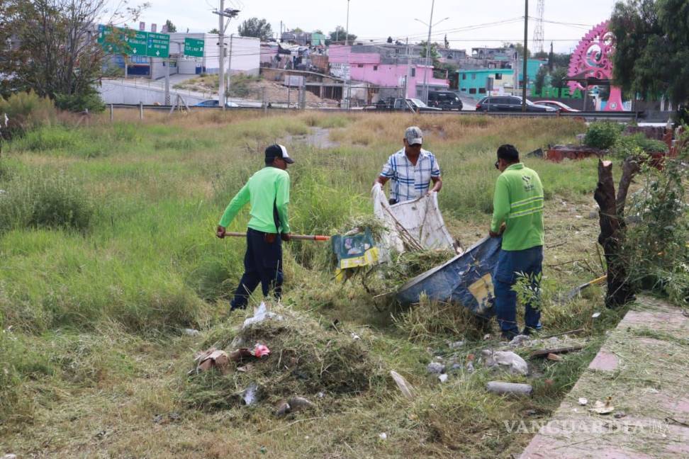 $!Personal del Ayuntamiento intervino en plazas y calles del sur y poniente de Saltillo, mejorando espacios públicos y la seguridad vial de peatones y automovilistas.