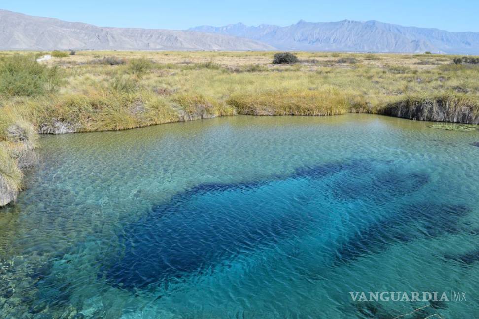 $!Coahuila, desierto bello y fértil