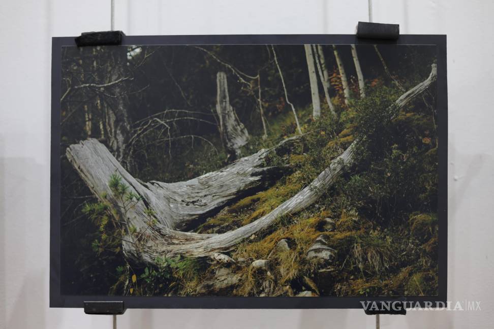 $!Mario Alberto Monjaraz Salas comparte sus recorridos por la Sierra Madre en exposición