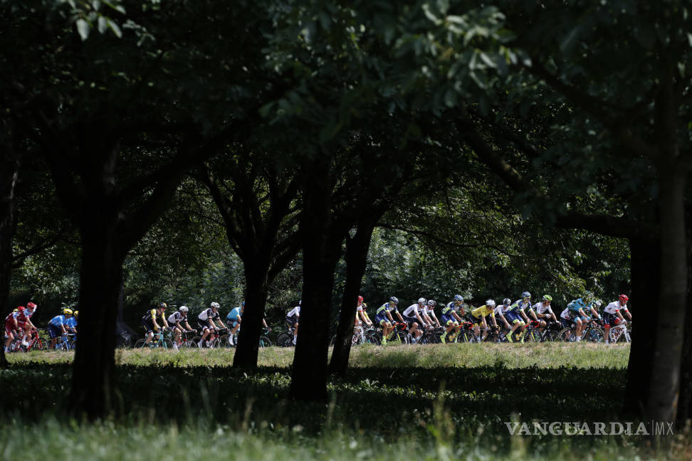 $!Peter Sagan consigue una victoria más en el Tour de Francia