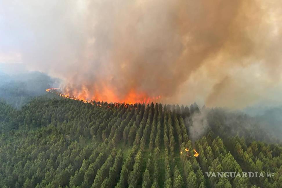 $!Esta foto proporcionada por el cuerpo de bomberos de la región de Gironde (SDIS 33) muestra un incendio forestal cerca de Landiras, suroeste de Francia.