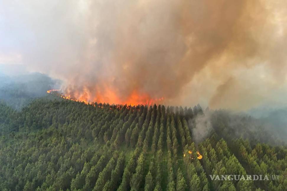 $!Esta foto proporcionada por el cuerpo de bomberos de la región de Gironde (SDIS 33) muestra un incendio forestal cerca de Landiras, suroeste de Francia.