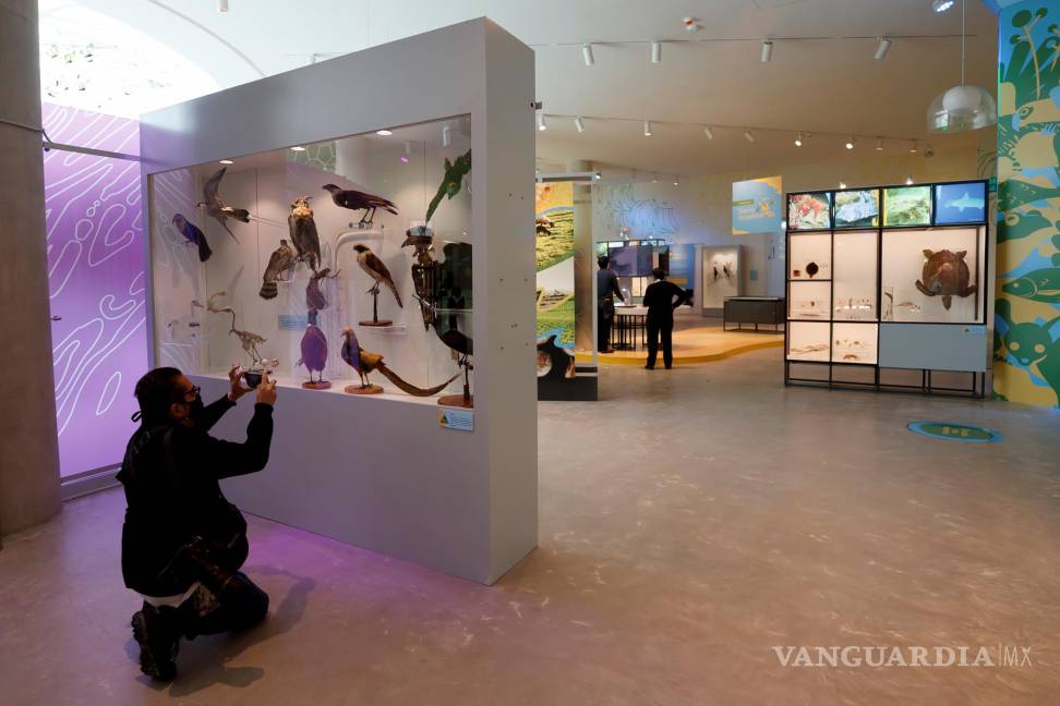 UNAM inaugura su Pabellón de la Biodiversidad con el apoyo de la Fundación Slim