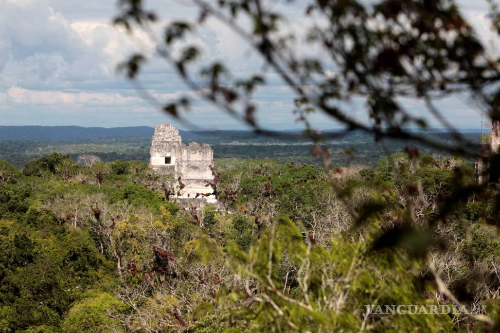 $!Vista del parque arqueológico Tikal, en el medio de la selva de Petén (Guatemala). EFE/Esteban Biba