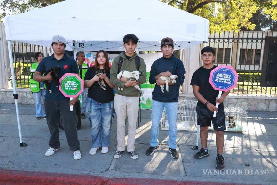 $!Familias completas aprovecharon la Ruta Recreativa para caminar, correr o pasear en bicicleta en un ambiente seguro y ordenado.