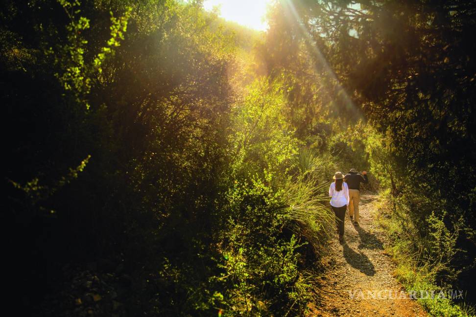 Conservación San Lorenzo: Respira el cañón