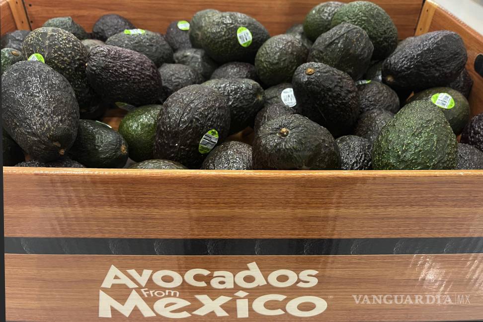 $!Los aguacates de México se exhiben a la venta en una tienda Target en White Plains, Nueva York.