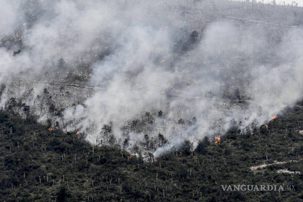 $!Incendio en las comunidades de Arteaga El Tunal y Carbonera.