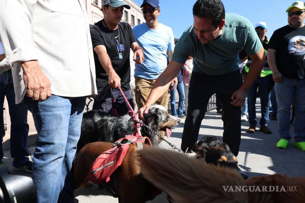 $!Perros y gatos recibieron atención veterinaria durante la inauguración del quirófano móvil.