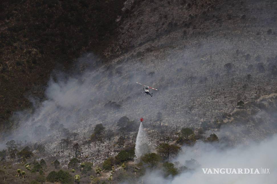 $!En este 2025 se reporta una mayor cantidad de incendios forestales, así como de hectáreas dañadas.