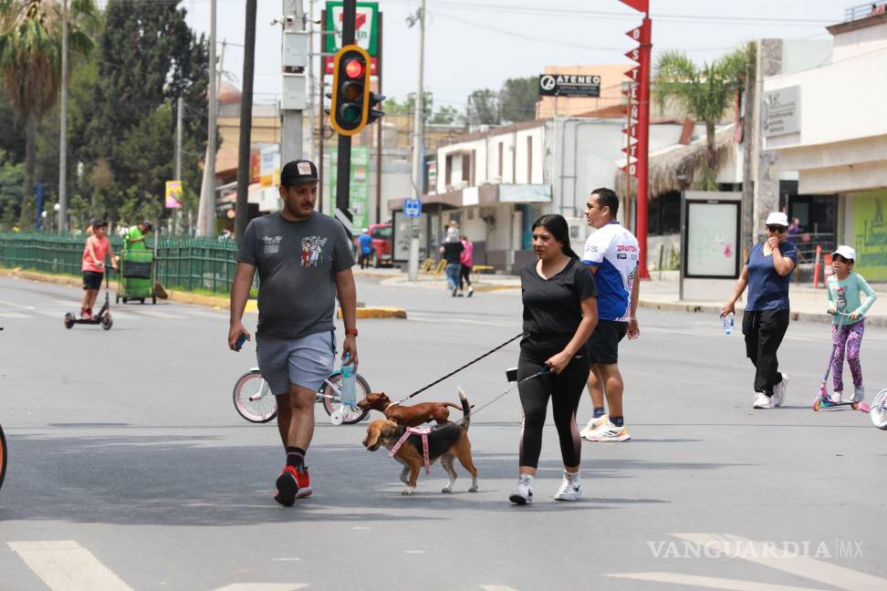 $!Familias enteras disfrutaron de la Ruta Recreativa, recorriendo los tramos a pie, en bicicleta o con sus mascotas.