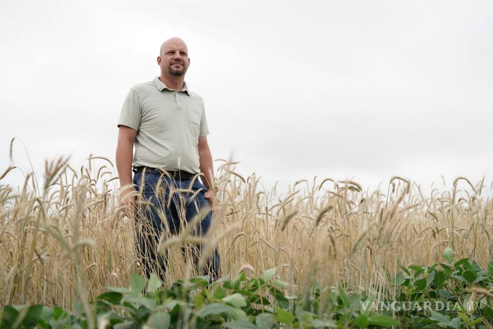 $!El granjero Brad Wetli usa el centeno como cultivo de cobertura para la soja, que ayuda a mantener la salud del suelo y almacena carbono.