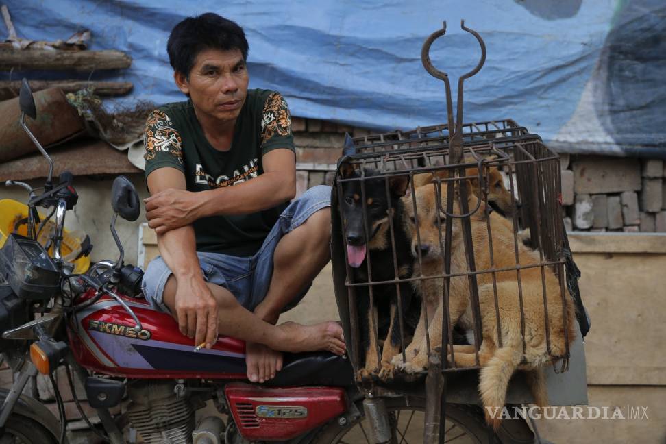 $!Pese a protestas, China celebra su mayor festival de carne de perro
