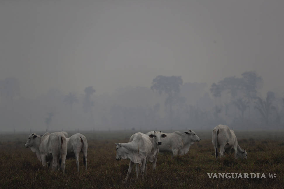$!Bomberos brasileños combaten el fuego en una Amazonia cubierta de humo