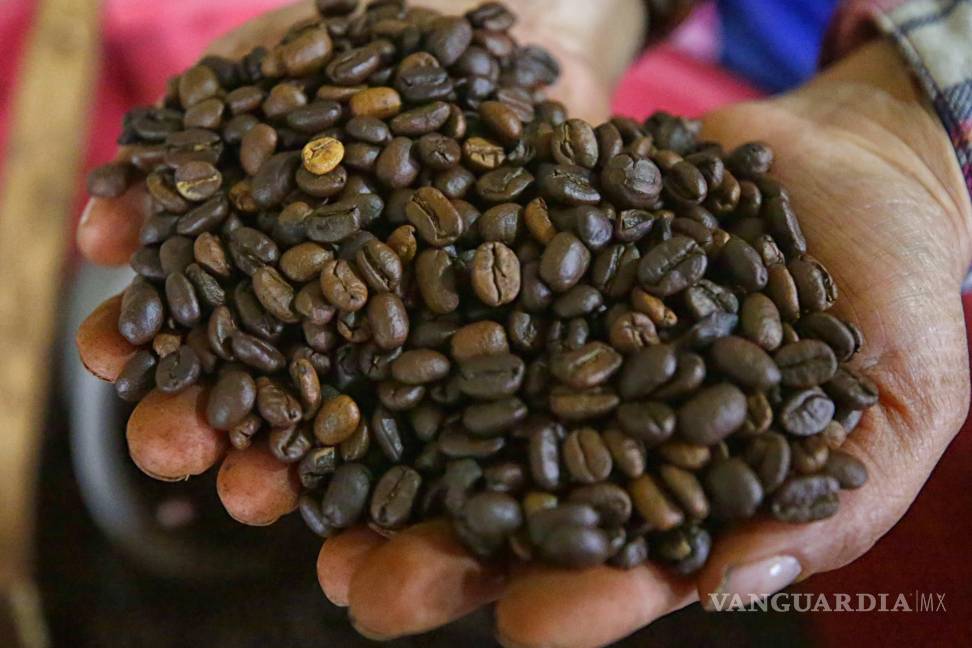 $!La FAO estima que hasta 25 millones de hogares agrícolas en todo el mundo se encargan del 80 % de la producción mundial del café.
