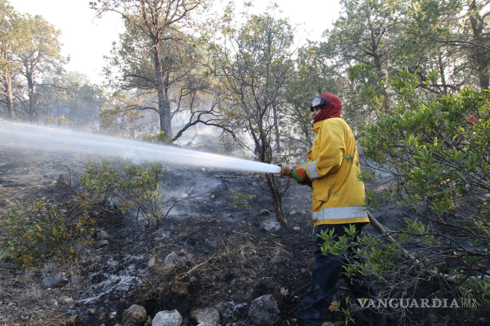 $!¡Ahora fue un corto! Fuego afecta 600 hectáreas en Arteaga