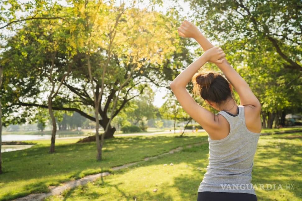 $!Sesión de gimnasia al aire libre.