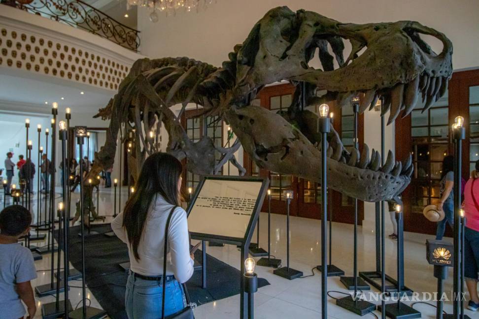 $!Ocho dimensiones llenas de esqueletos, paleosculturas y réplicas de fósiles se preparan para sorprender al público del Museo Bebeleche en diciembre.