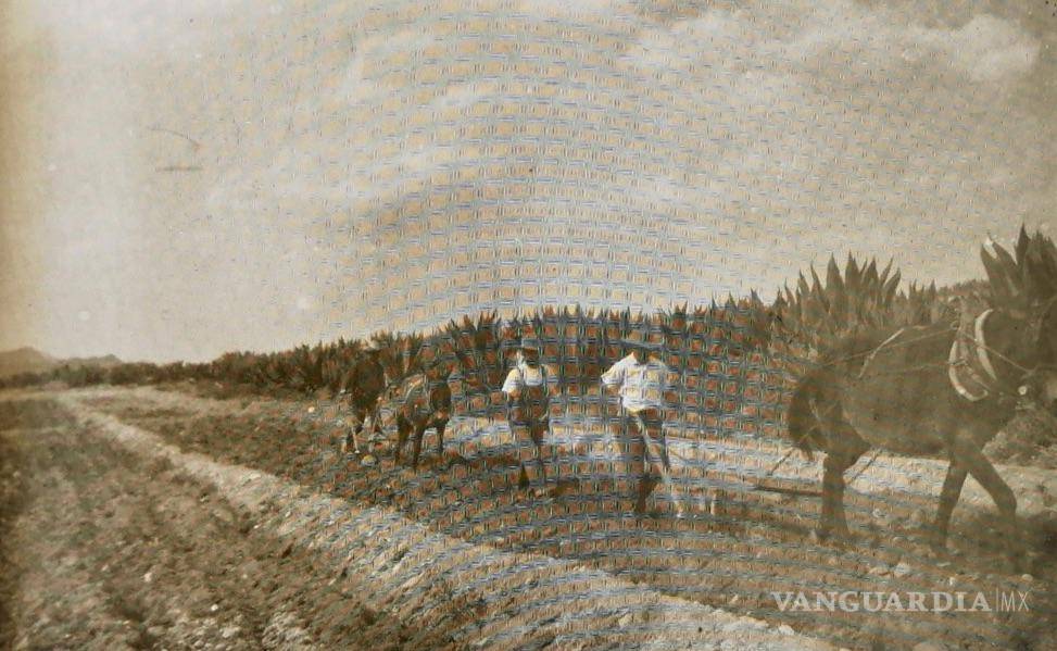 $!Mejorando la agricultura con conocimiento técnico y teórico.