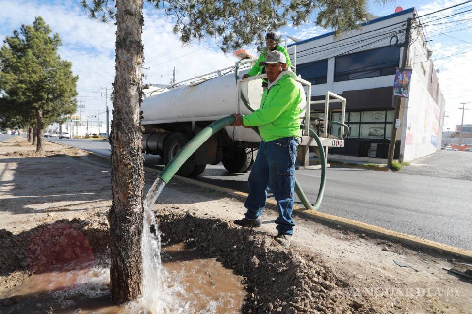 $!Los camellones de los principales bulevares son regados con agua tratada.