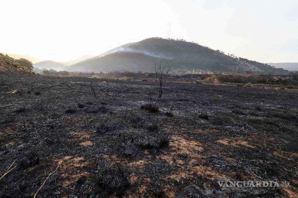 $!Bajo control el incendio en la sierra de El Tunal en Arteaga; 73 hectáreas afectadas