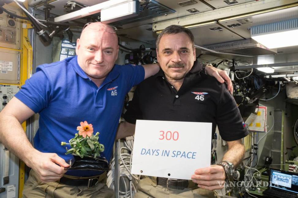 Después de una año en el espacio regresan a la Tierra Scott Kelly y Mikhail Kornienko
