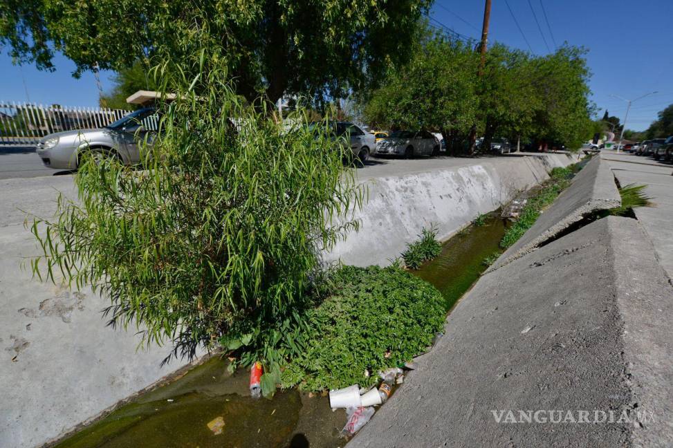 $!Deterioro general muestra el canal pluvial ubicado dentro de la avenida Magisterio.