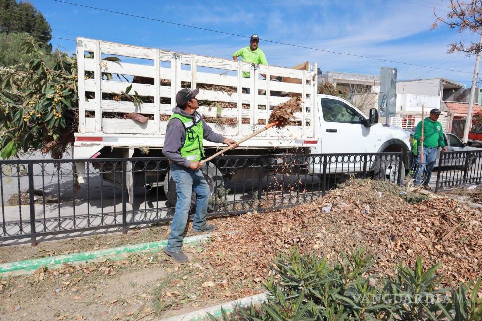 $!Personal municipal llevó a cabo limpieza y retiro de desechos en áreas verdes y cauces naturales para reducir riesgos a la salud y mejorar el entorno urbano.