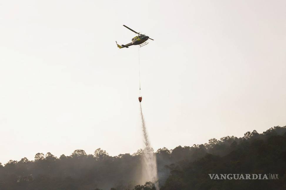 $!El incendio, que afectó 73 hectáreas en Arteaga, ha sido combatido por brigadistas de CONAFOR, Ejército Mexicano, Guardia Nacional y grupos locales, con el apoyo de helicópteros.