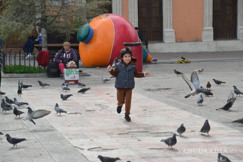 Descansa Saltillo en Navidad, plazas y calles se vacías; estrenan ciudadanos regalos al aire libre