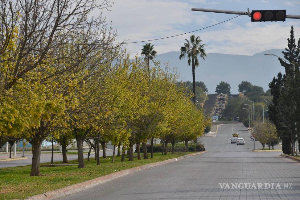 Descansa Saltillo en Navidad, plazas y calles se vacías; estrenan ciudadanos regalos al aire libre
