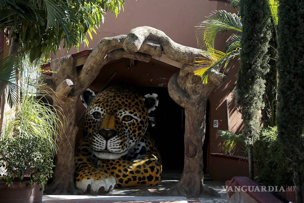 $!Fotografía del interior de un zoológico de la ciudad de Chilpancingo, Guerrero.