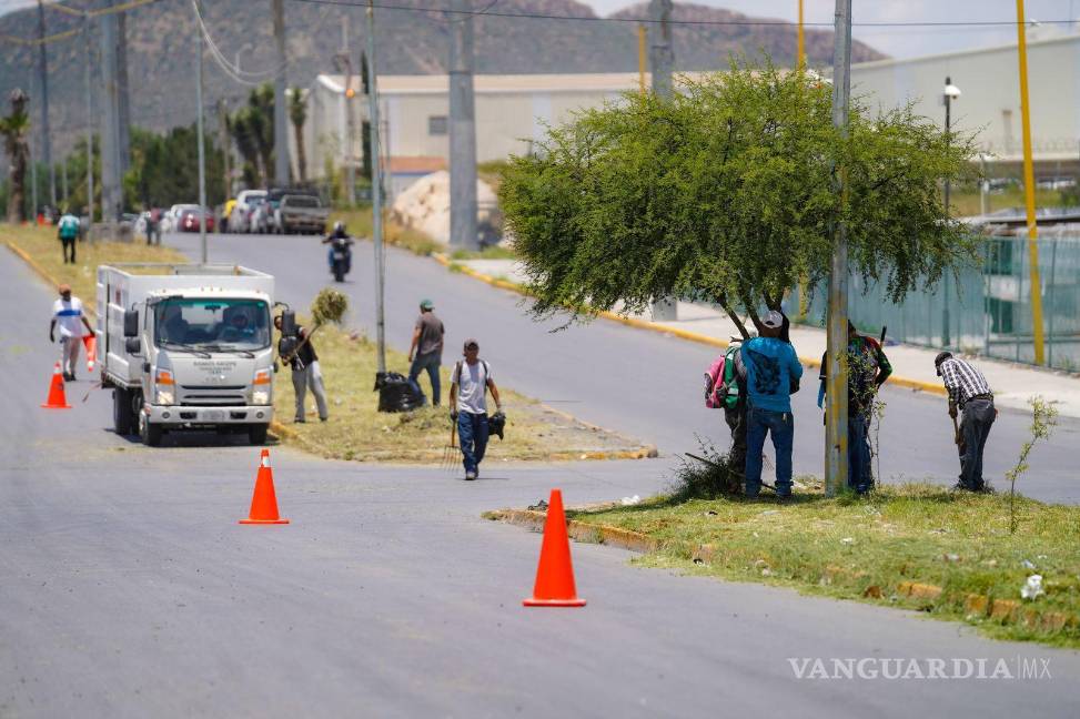 $!Cuadrillas municipales realizaron descacharrización y limpieza en la calle Ancones, colonia Analco, como parte del programa de mantenimiento urbano.