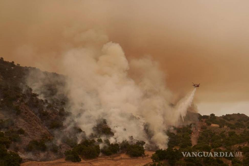 $!En cuanto a los incendios forestales estos se caracterizan por que sus llamas son cada vez más voraces y extensos.