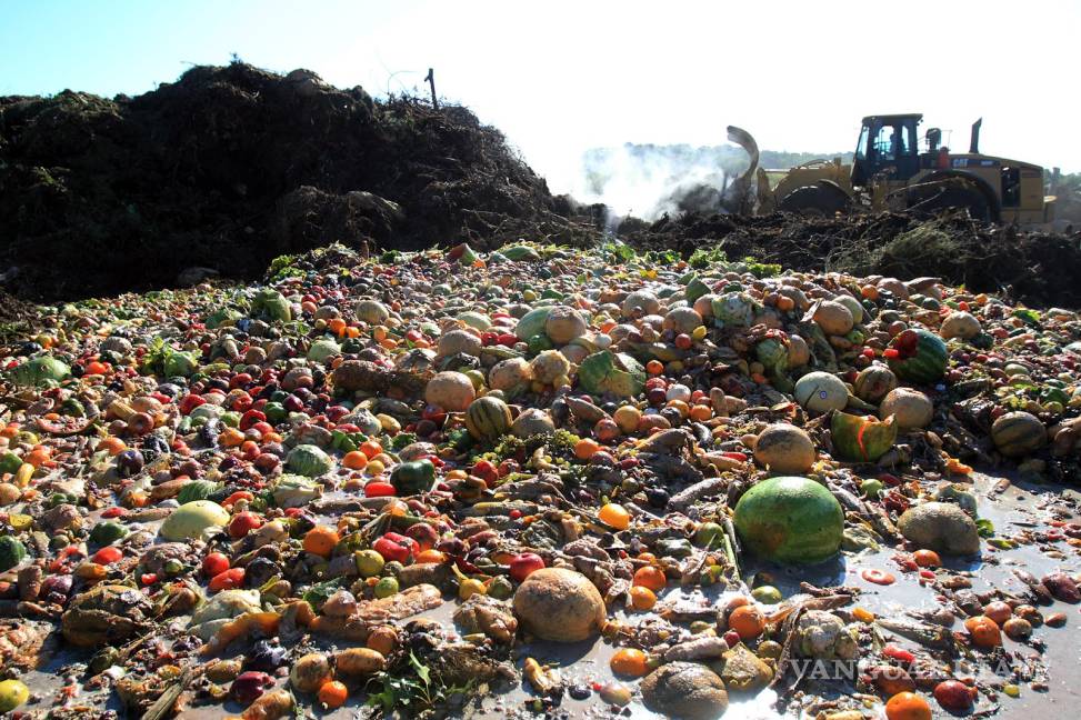$!Desperdicio de comida asciende a 750 mil mdd: FAO
