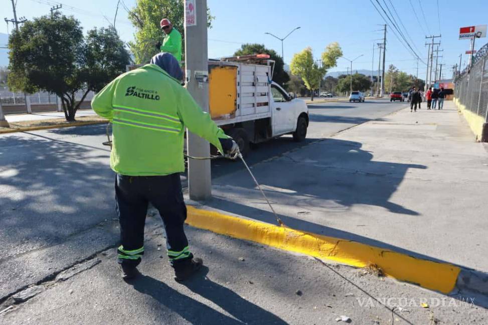 $!Brigadas municipales realizaron trabajos de pintura en los principales bulevares de la ciudad para mejorar la visibilidad y seguridad vial de peatones y automovilistas.