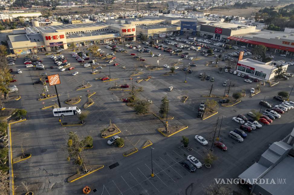 $!El espacio enfrenta condiciones adversas para la vegetación por el poco suelo fértil y el calor del estacionamiento.